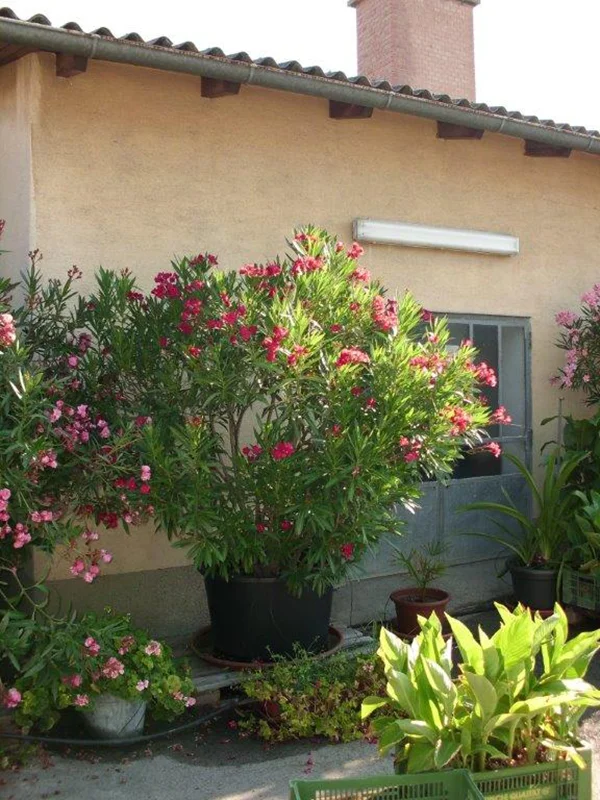 Ganzjährige Betreuung