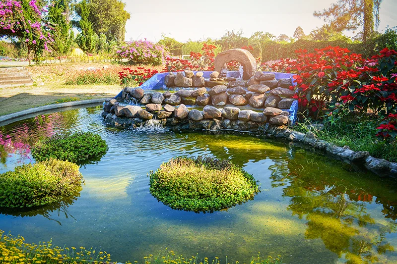 Professionelle Teichreinigung mit Teichreinigung Franz Weixelbraun