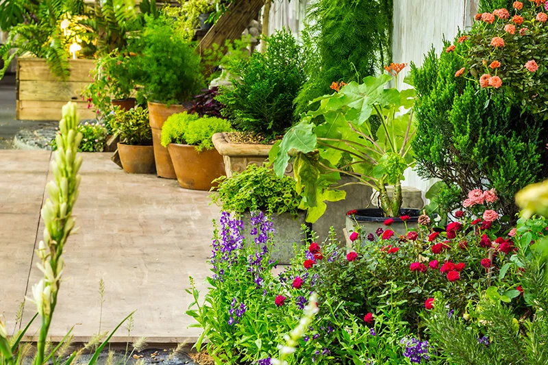 Stilvolle Mietpflanzen von Teichreinigung Franz Weixelbraun