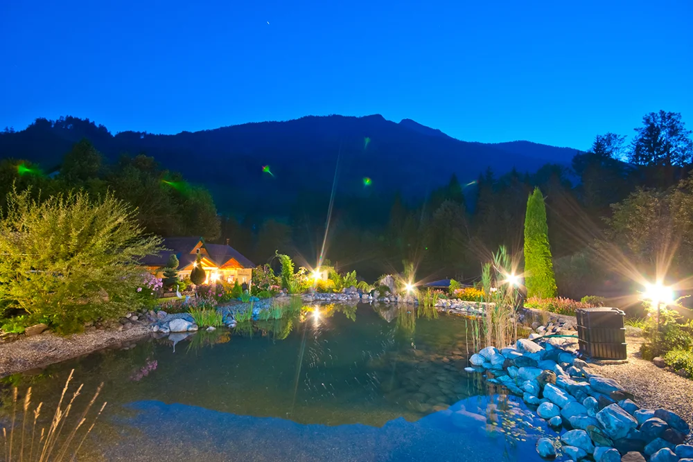 Teichpflege von Teichreinigung Franz Weixelbraun